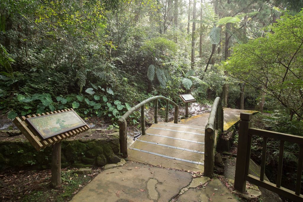 東眼山森林遊樂區 小烏來山莊