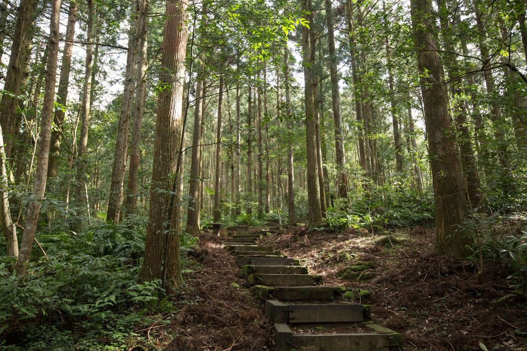 東眼山森林遊樂區 小烏來山莊